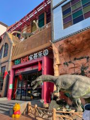 点击看大图 -宝燕乐园(闵行旗舰店)