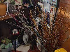 -贝莱德堡咖啡(红桂大厦店)