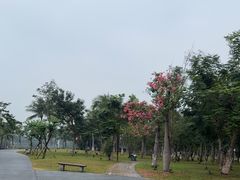 -万绿园