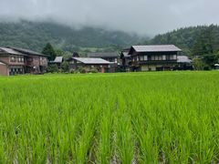 -白川乡与五箇山的合掌构造村落