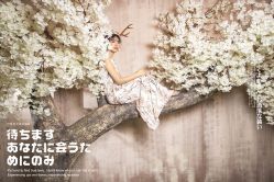 点击看大图 -巴黎春天婚纱摄影STUDIO·定制