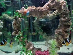 -太平洋海底世界