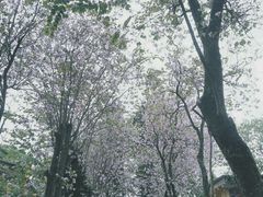 -广东外语外贸大学(白云山校区)