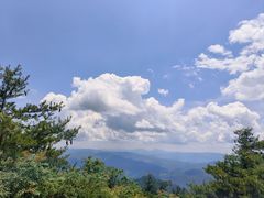 -王顺山国家森林公园