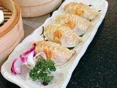 -蚝喜粤·广州味·茶楼点心(长隆店)