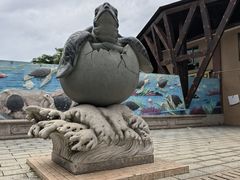 -广东惠东海龟国家级自然保护区