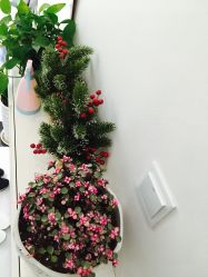 -朴荷皮肤管理中心