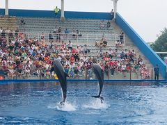 -北戴河圣蓝海洋公园