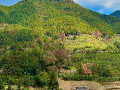 -南靖田螺坑土楼群景区
