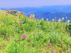 -白草畔自然风景区