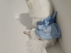 -怪兽屋·羊驼·猫咖·狗咖(俊华广场店)