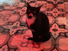 -Chili's Cafe&Bar奇利斯(滨江店)