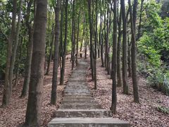 -广州市帽峰山景区