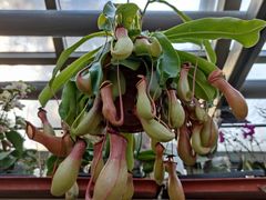 -国家植物园南园