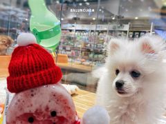 -7分甜(苏州中心店)