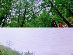 -阳台山自然风景区