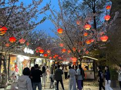 -回龙窝历史文化街区