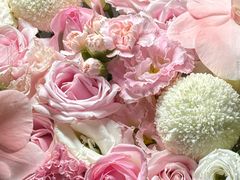 -沪花拾者(好再来花卉鲜花店)