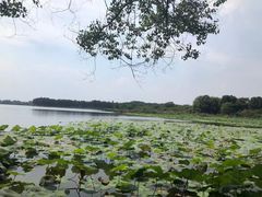 -东湖落雁景区