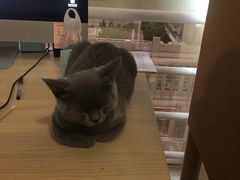 -壹人壹像工作室(购物公园店)