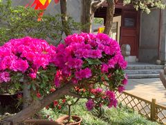 -惠山古镇·寄畅园