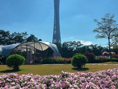 -海心沙亚运公园