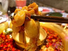 -哥老官重庆美蛙鱼头(圆融广场店)