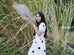 -美视五月花高尔夫度假酒店(滨海西店)