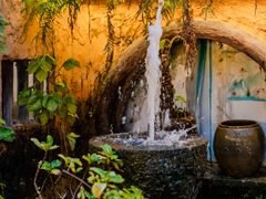 -园林美食城·本土农家菜(杨和镇店)