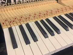 -雅马哈卡瓦依·钢琴电钢琴·姜杰城音乐舞蹈培训学校(航天桥总部)