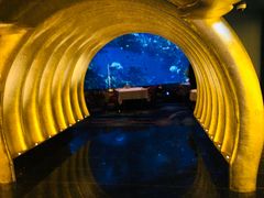 -迪拜帆船酒店海底餐厅