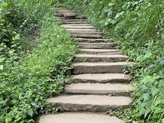 -青城山