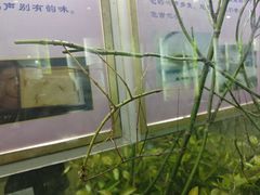 -上海昆虫博物馆