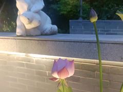 -花锦堂·隐庐