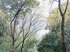 -北极阁公园