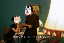 点击看大图 -壹HOME胶片摄影工作室