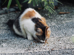 -东山湖公园