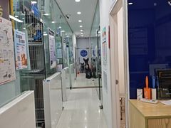-芭比堂动物医院(广州爱宠下渡路分院)