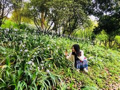 -南山植物园