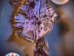 -东山羊庄(八卦岭店)