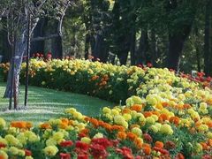 -沈阳植物园