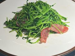 鸡油腊味炒豆苗-潮界(大学路店)
