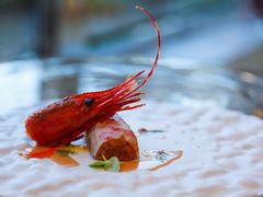 -九献创意菜·牛排馆(亮马河花园店)