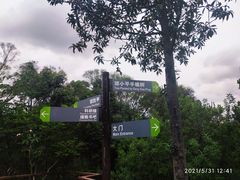-深圳仙湖植物园