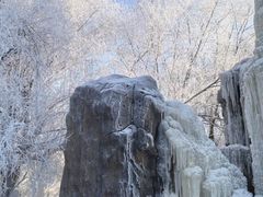 -雾凇岛