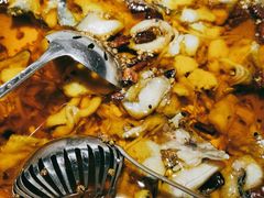 -雲蜀龙阁·金牌水煮鱼(方庄店)