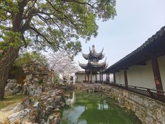 -司徒庙