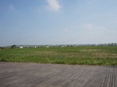 -盐城丹顶鹤湿地生态旅游区