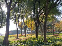 -北外滩滨江绿地