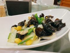 素三样-成都驻京办餐厅(蜀都宾馆店)